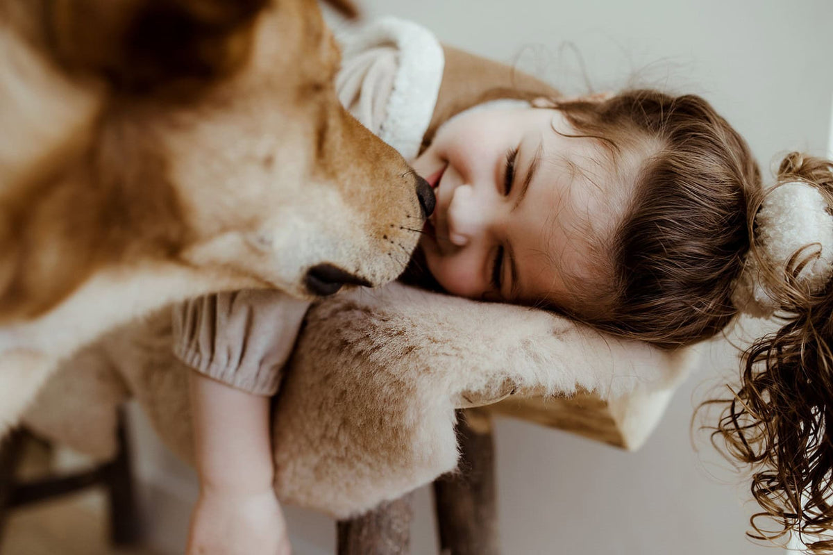 Ontdek de Perfecte Schapenvacht voor Thuis – Comfort en Natuurlijke Luxe